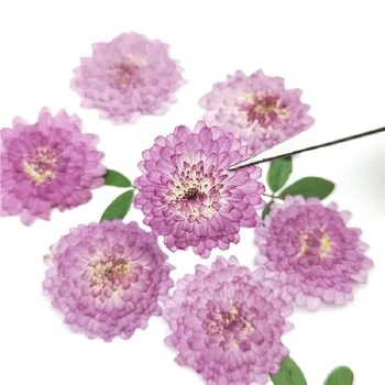 24pcs,Naravne Pritisnete Cvetje Resnično Posušena Chrysanthemum,DIY Umetnostne Obrti Valentines darilo Zaznamek Dekoracijo,Dišeče sveče dekor