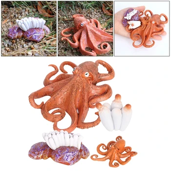 4 Faze Življenjskega Cikla Hobotnica Narave Žuželke Življenjske Cikle Rasti Model Igre Prop Insektov, Živali, Naravno Igrača