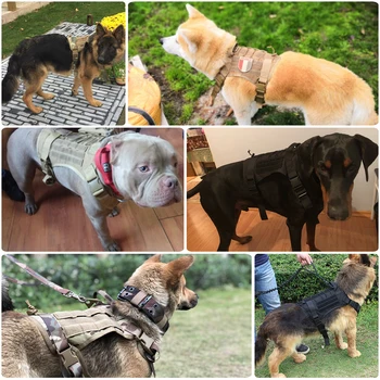 Taktično Pes Pas Pet Usposabljanje Telovnik Pes Pas In Povodec Set Za Majhne, Srednje Velike Pse